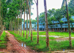 School Campus 11