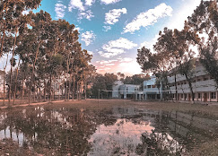School Campus 13